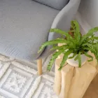 Business 4 image MISS AMARA Rugs in Auckland NTL