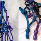 Business 2 image NATURAL HORSE THERAPIST LTD Rope Halter in Warkworth AUK