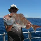 Business 4 image NEW ZEALAND FISHING SAFARIS LTD Ultimate Fishing Charters in Auckland NTL