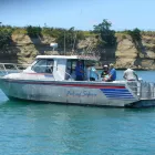 Business 2 image NEW ZEALAND FISHING SAFARIS LTD Tours & Sightseeing in Auckland City AUK