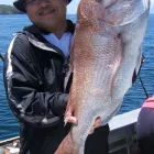 Business 8 image NEW ZEALAND FISHING SAFARIS LTD Tours & Sightseeing in Auckland City AUK