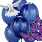 Business 2 image NZ FUNERAL SERVICES DIRECTORY Memorials in Wellington AUK