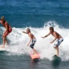 Business 3 image NZ VAN LINES TAURANGA MOVING COMPANY Transportation Services in Tauranga BOP