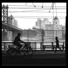 Business 2 image OASIS BASE Landscape Architects in Auckland City AUK