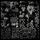 Business 5 image OASIS BASE Landscape Architects in Auckland City AUK