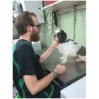 Business 2 image ONEHUNGA VET - PET SUPPLIES & CATTERY Veterinarians in Auckland City AUK