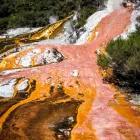 Business 1 image ORAKEI KORAKO CAVE & THERMAL PARK Tours & Sightseeing in Taupo Area BOP
