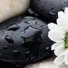 Business 5 image PALMS CHINESE MEDICINE CENTRE Chinese Medicine in Christchurch CAN