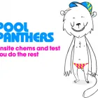 Business 3 image PARTRIDGE POOL & SPA Swimming Pools & Spas in Takanini AUK