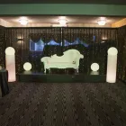 Business 2 image PARTY & FUN HIRE Weddings in Henderson AUK