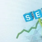 Business 7 image PATTERSON DIGITAL MARKETING Website Design in Takapuna AUK