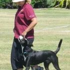 Business 3 image PET DOG SCHOOL LTD Pet Grooming in Whanganui MWT