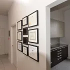 Business 6 image PULLED PORK TEST X Ray in Auckland NTL