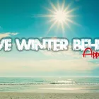 Business 4 image REAL FINANCE LTD Mortgages & Loans in Wellington City WGN