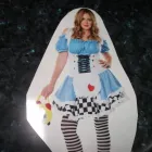 Business 1 image ROSIES COSTUMES Party Supplies in Palmerston North Area MWT