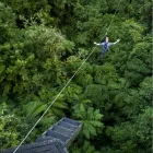 Business 5 image ROTORUA CANOPY TOURS Travel in Rotorua BOP