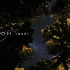 Business 1 image SEO ELEMENTS Web Design in Wellington AUK