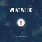 Business 4 image SEO ELEMENTS Web Design in Wellington AUK