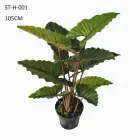 Business 1 image SHARETRADE ARTIFICIAL PLANT AND TREE MANUFACTURER CO., LTD Art & Crafts in Auckland City AUK