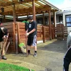 Business 1 image SKILLS UPDATE TRAINING INSTITUTE Educational Services in Papakura Area AUK