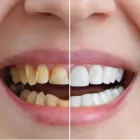 Business 1 image SMILE CONCEPTS Dental Services in Christchurch CAN