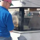 Business 4 image SPECIALISED SURFACE COATINGS Glass Coating in Auckland City AUK