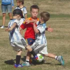 Business 3 image SPORTZONE SPORTS Sports Clubs in Lower Hutt WGN