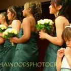 Business 2 image TABITHA WOODS PHOTOGRAPHY Wellington-Wedding-Photographer in Wellington AUK