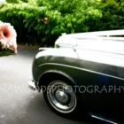 Business 3 image TABITHA WOODS PHOTOGRAPHY Wellington-Wedding-Photographer in Wellington AUK