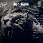 Business 3 image TASMAN STREET VETERINARY CENTRE Veterinarians in Wellington City WGN