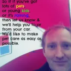 Business 4 image TASMAN STREET VETERINARY CENTRE Veterinarians in Wellington City WGN