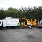 Business 1 image TAURANGA TREE SERVICES LTD Tree Services in Tauranga BOP
