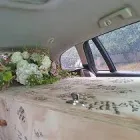 Business 3 image THE NATURAL FUNERAL COMPANY Funeral Home in Eden Terrace, Auckland AUK