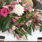 Business 5 image THE NATURAL FUNERAL COMPANY Funeral Home in Eden Terrace, Auckland AUK