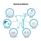 Business 2 image THE WELLINGTON DENTAL PRACTICE Dentists in Wellington City WGN