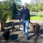 Business 3 image THEK9WAY Dog Walker in West Auckland AUK