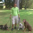 Business 4 image THEK9WAY Dog Walker in West Auckland AUK