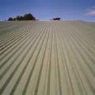 Business 2 image TOTAL ROOFING Roofing Materials in Auckland City AUK