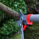 Business 5 image TREE TECH NZ Tree Services in Tauranga BOP