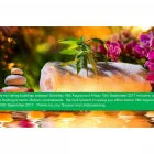Business 4 image TUTY'S BALINESE MASSAGE AND BEAUTY Therapeutic Massage in Wellington City WGN