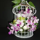 Business 2 image TWIGS AT AVANT GARDEN Florists in Hamilton WKO