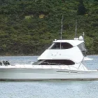 Business 2 image VINING MARINE yacht boat for sale in Waikawa MBH