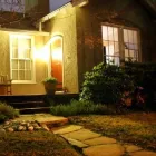 Business 1 image VIPETS DOG WALKING ADVENTURES Dog Walking in Christchurch CAN