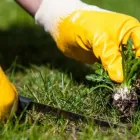 Business 2 image WEED SPRAYING SERVICES Property Maintenance in Auckland NTL