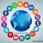 Business 2 image WELLINGTON SEO GUY Search Marketing in Wellington AUK