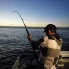 Business 1 image WESTPORT SEA CHARTERS Nz Fishing Trips in Westport WTC