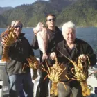 Business 2 image WESTPORT SEA CHARTERS Nz Fishing Trips in Westport WTC