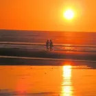 Business 4 image WINDY WAVES BED & BREAKFAST Hosted Accommodation in Waitarere Beach MWT