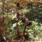 Business 2 image WORLD CHALLENGE TAG (WCT PAINTBALL) Team Building Programmes in Kumeu AUK
