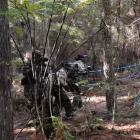Business 7 image WORLD CHALLENGE TAG (WCT PAINTBALL) Team Building Programmes in Kumeu AUK